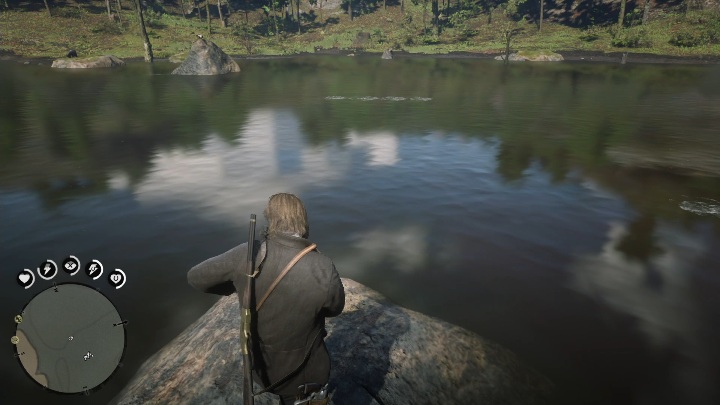Najlepszym miejscem do zarzucenia wędki będzie skała na środku jeziora - Red Dead Redemption 2: Legendarny Okoń - mapy, porady - Red Dead Redemption 2 - poradnik do gry