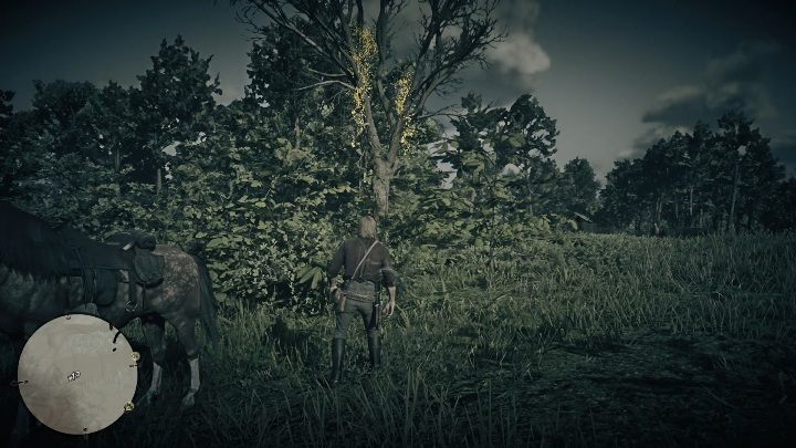 Pierwszy łapacz snów znajdziesz w północnej części Lemoyne - Red Dead Redemption 2: Łapacze snów - lista, mapy, porady - Red Dead Redemption 2 - poradnik do gry