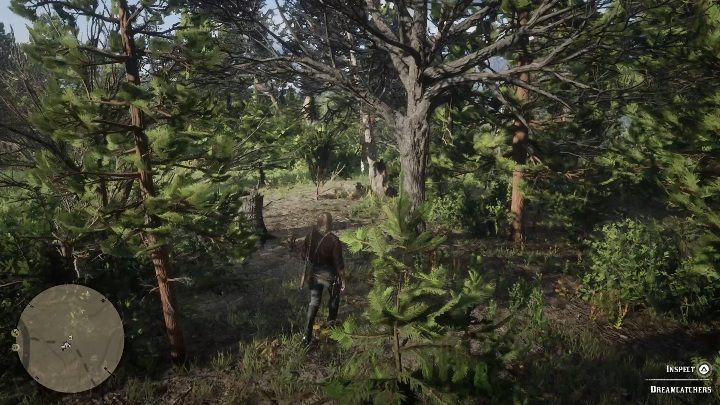 Kolejny łapacz snów znajduje się na dokładnie w mieście Valentine - Red Dead Redemption 2: Łapacze snów - lista, mapy, porady - Red Dead Redemption 2 - poradnik do gry