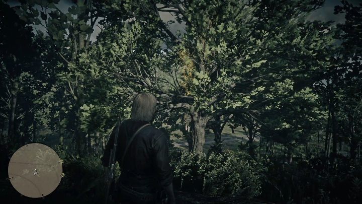 Ten łapacz snów znajdziesz w regionie New Hanover - Red Dead Redemption 2: Łapacze snów - lista, mapy, porady - Red Dead Redemption 2 - poradnik do gry