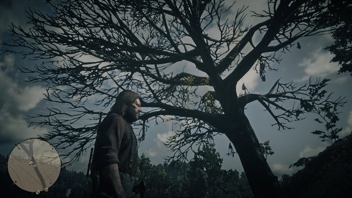 Ten łapacz snów znajduje się w Annesburgu - Red Dead Redemption 2: Łapacze snów - lista, mapy, porady - Red Dead Redemption 2 - poradnik do gry