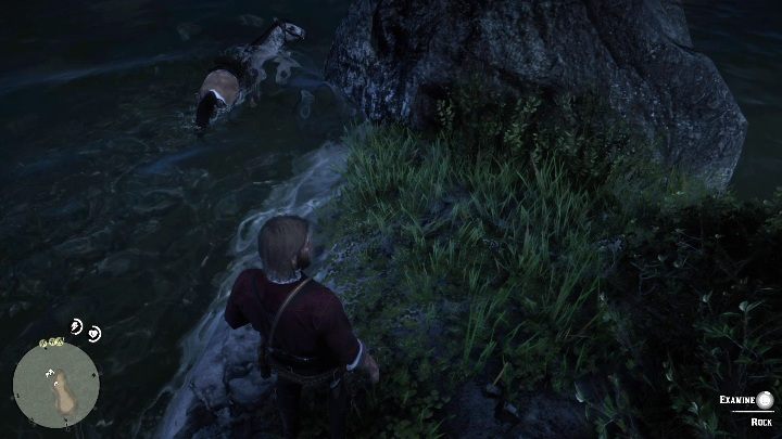 Na brzegu wyspy znajduje się mała dziura w skale - Red Dead Redemption 2: Jack Hall Gang - mapa skarbów - Red Dead Redemption 2 - poradnik do gry