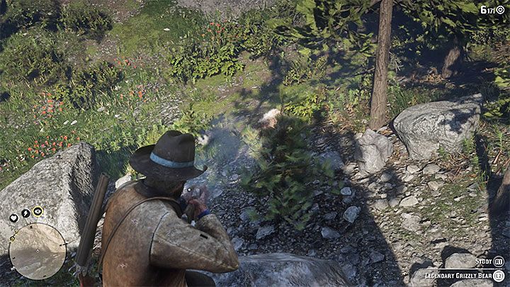 Nie śpiesz się żeby nie zostać przedwcześnie zaatakowanym przez niedźwiedzia - Red Dead Redemption 2: Legendarny niedźwiedź - jak zabić? - Red Dead Redemption 2 - poradnik do gry