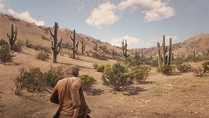 Jeśli poprawnie wykonałeś opisane powyżej czynności to możesz zająć się eksploracją Meksyku - Red Dead Redemption 2: Meksyk - jak się przedostać? - Red Dead Redemption 2 - poradnik do gry