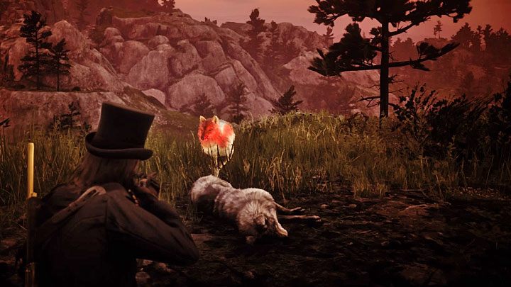 Niedługo po dotarciu do krawędzi klifu pojawi się okazja do zastrzelenia wilka - Red Dead Redemption 2: Weteran - opis przejścia, mapa, porady - Red Dead Redemption 2 - poradnik do gry