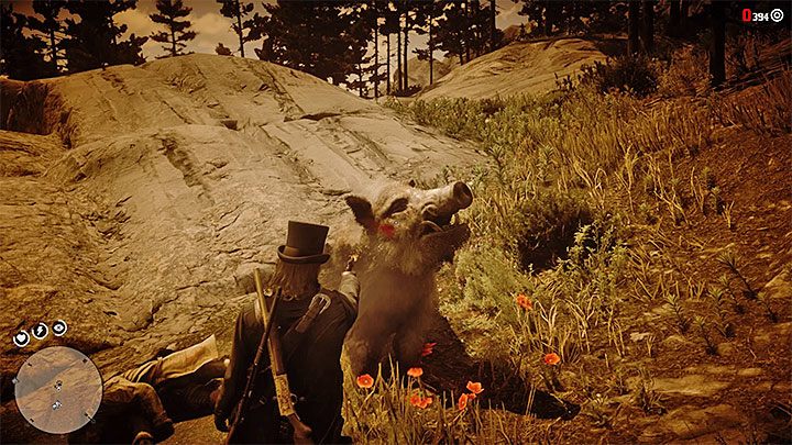 Po usłyszeniu wystrzałów udaj się do obszaru, który badał weteran - Red Dead Redemption 2: Weteran - opis przejścia, mapa, porady - Red Dead Redemption 2 - poradnik do gry