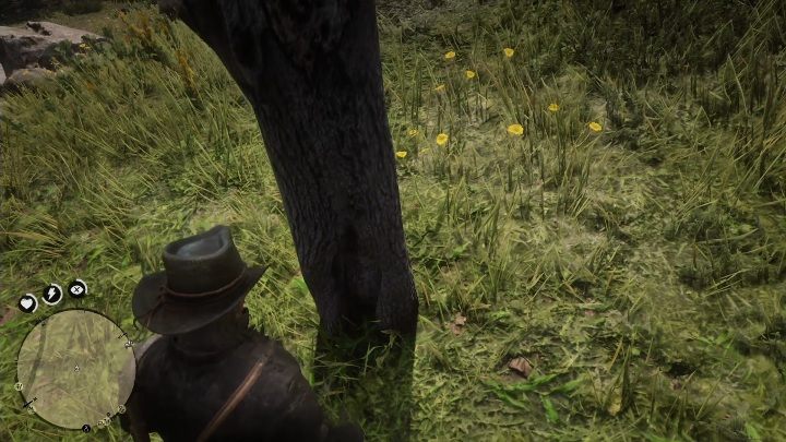 W tym rejonie znajdziesz uschnięte drzewo, bez korony - Red Dead Redemption 2: Skażony szlak, mapa - The Poisonous Trail Treasure Hunt - Red Dead Redemption 2 - poradnik do gry