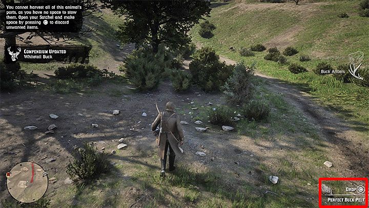 Potwierdzenie o zdobyciu perfekcyjnej skóry powinno pojawić się w prawym dolnym narożniku ekranu - przykład na obrazku - Red Dead Redemption 2: Skóry zwierząt - jak zdobyć najlepsze, perfekcyjne? - Red Dead Redemption 2 - poradnik do gry