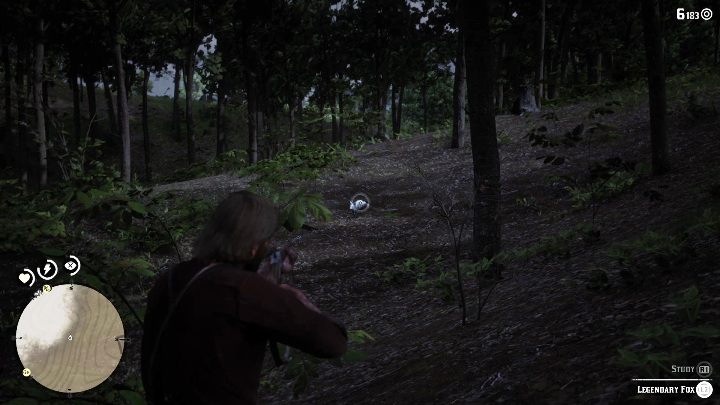 Lis nie będzie cię atakował, a od razu zacznie przed tobą uciekać - Red Dead Redemption 2: Legendarny lis - mapy, porady - Red Dead Redemption 2 - poradnik do gry
