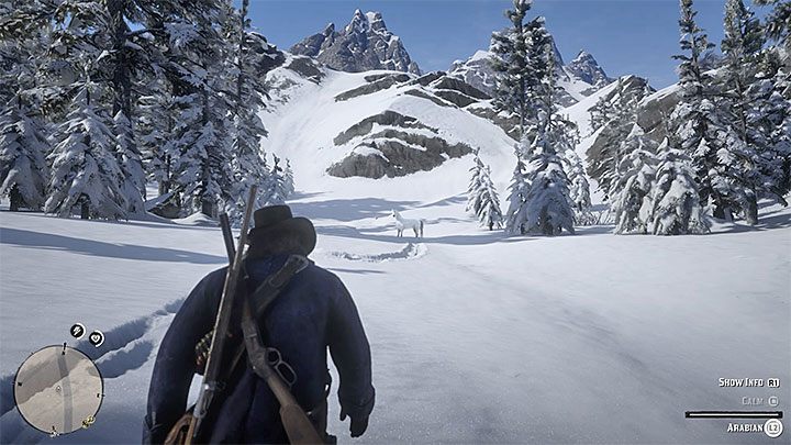 Pamiętaj, że odnalazłeś dzikiego konia - Red Dead Redemption 2: Najlepsze konie - Red Dead Redemption 2 - poradnik do gry