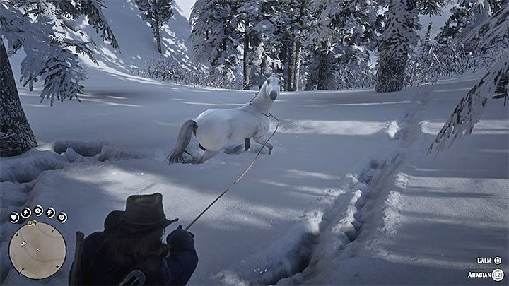 Druga metoda zakłada użycie lassa - Red Dead Redemption 2: Najlepsze konie - Red Dead Redemption 2 - poradnik do gry