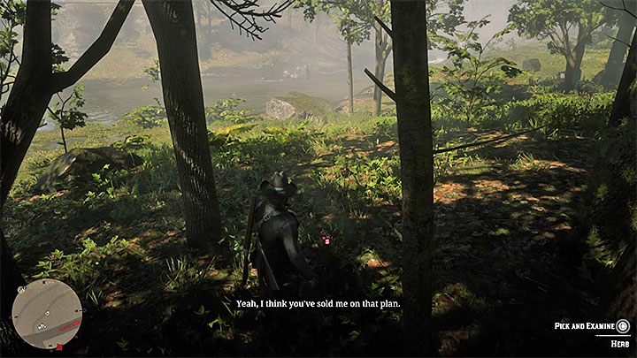 Prośba Javiera dotyczy podarowania mu oleandra - Red Dead Redemption 2: Prośby o przedmioty od członków gangu - lista - Red Dead Redemption 2 - poradnik do gry