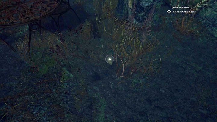 Przedmiot do zebrania - Small wooden whale. - Rozdział 3 - Ogrody w posiadłości rodziny Hawkins | Solucja Call of Cthulhu - Call of Cthulhu - poradnik do gry