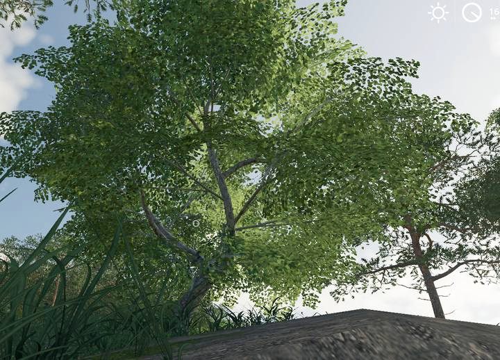 Nieregularne drzewa liściaste nie mogą być obsługiowane przez harvestery - Farming Simulator 19: Obróbka drzew - ścinka, pnie, sprzedaż - Farming Simulator 19 - poradnik do gry