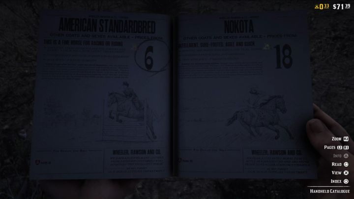 Katalog pozwala ci kupować mnóstwo przedmiotów, gdy aktualnie znajdujesz się na szlaku - Porady na start w Red Dead Online - Red Dead Online - poradnik do gry