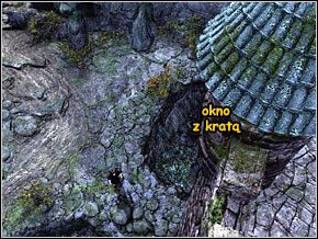 020 - Las rabusiów - cz.2 | Thorgal Klątwa Odyna - Thorgal Klątwa Odyna - poradnik do gry