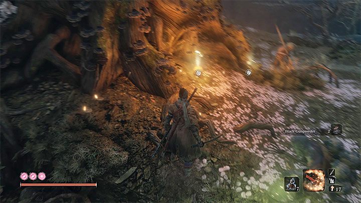 Nasiono możesz odnaleźć w trakcie eksploracji Wsi Mibu (Mibu Village), która jest jednym z dalszych obszarów tej lokacji - Nasiona tykwy | Przedmioty specjalne w Sekiro Shadows Die Twice - Sekiro Shadows Die Twice - poradnik do gry