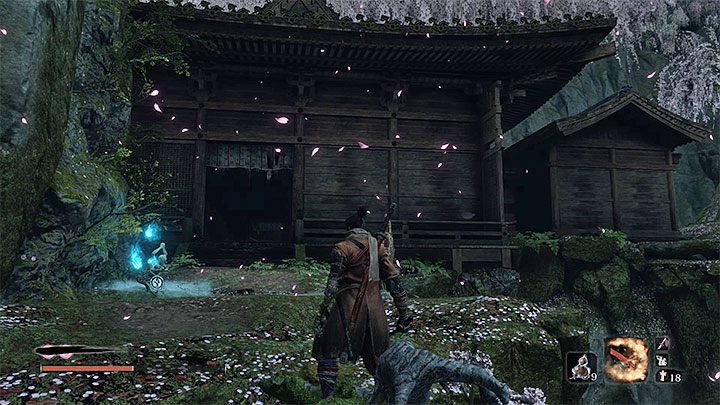 Nasiono to dość łatwo możesz pozyskać w miarę postępów w głównym wątku fabularnym - Nasiona tykwy | Przedmioty specjalne w Sekiro Shadows Die Twice - Sekiro Shadows Die Twice - poradnik do gry
