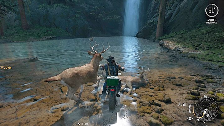 Alternatywna metoda działania to uderzanie motocyklem w upatrzone cele - Days Gone: Atak na motocyklu - jak to robić? - Days Gone - poradnik do gry