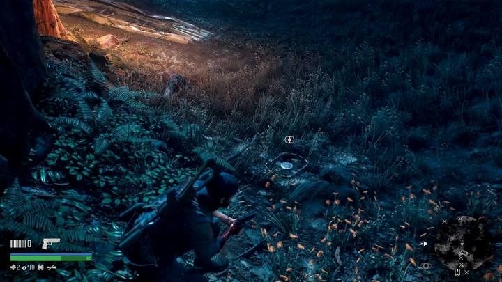 Pułapki na niedźwiedzie uwiężą cię i spowodują, że wrogowie cię usłyszą - Days Gone: To mój brat - solucja, opis przejścia - Days Gone - poradnik do gry