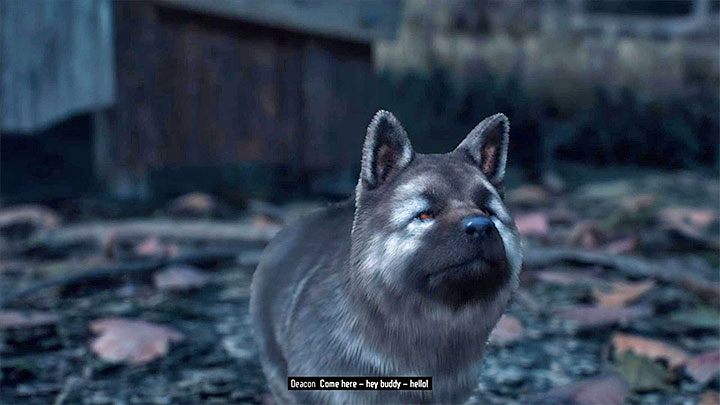 Tak, Days Gone oferuje możliwość pogłaskania psa, przy czym stanie się to możliwe tylko w ramach wyświetlania filmu przerywnikowego i dopiero po tym jak dostatecznie awansujesz w głównym wątku fabularnym gry - Days Gone: Pies - czy można pogłaskać? - Days Gone - poradnik do gry