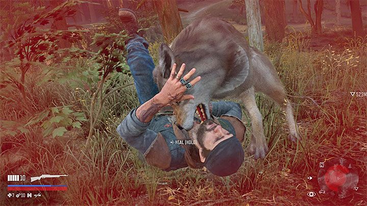 Deacon w trakcie przemierzania świata gry może spotykać wilki, które zawsze będą próbowały go zabić - Days Gone: Porady na start - Days Gone - poradnik do gry