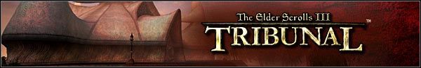 Witam wszystkich w poradniku do dodatkowej kampanii o dla jednej z najlepszych gier RPG, jaką jest Morrowind - The Elder Scrolls III: Trójca - poradnik do gry