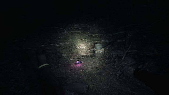 Twój towarzysz złapie trop - Rozdziały 1,2 i 3 | Solucja Blair Witch - Blair Witch - poradnik do gry