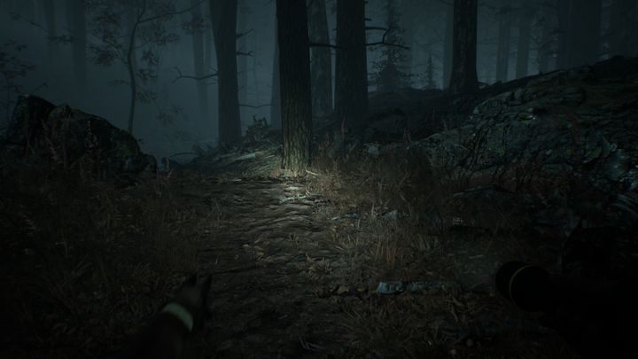 Po drodze znajdziesz leżącą butelkę - Rozdziały 8 i 9 | Solucja Blair Witch - Blair Witch - poradnik do gry