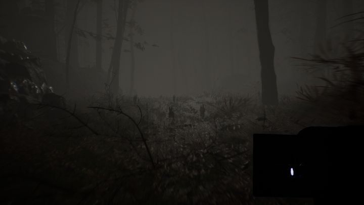 1 - Rozdziały 12 i 13 | Solucja Blair Witch - Blair Witch - poradnik do gry