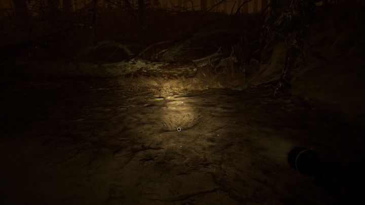 Nieśmiertelnik 3 znajdziesz w momencie, gdy będziesz szedł w kierunku obozu A - Nieśmiertelniki | Sekrety w Blair Witch - Blair Witch - poradnik do gry
