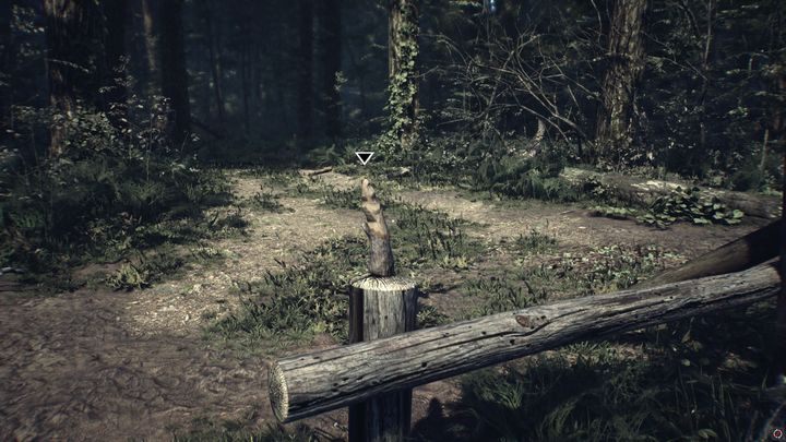 Nie do przeoczenia - Drewniane lalki, figurki | Sekrety w Blair Witch - Blair Witch - poradnik do gry