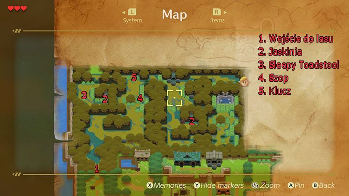 Lokacje, które pomogą ci znaleźć drogę w lesie - Tail Cave | Solucja The Legend of Zelda Links Awakening - The Legend of Zelda Links Awakening - poradnik do gry