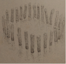 50 x kij - Green Hell: Pułapki - schematy - Green Hell - poradnik do gry