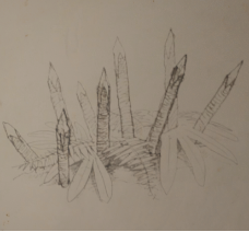 12 x kij i 1 x mały stos liści - Green Hell: Pułapki - schematy - Green Hell - poradnik do gry