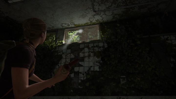 Na początek idź przed siebie i postaraj się odnaleźć ojca Abby - The Last of Us 2: Lekcja Tropienia - solucja, opis przejścia - The Last of Us 2 - poradnik do gry