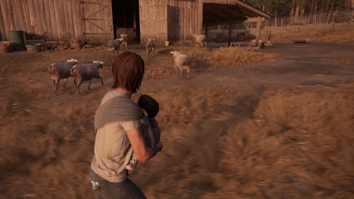 Wróć teraz do domu - The Last of Us 2: Dzień po dniu - solucja, opis przejścia - The Last of Us 2 - poradnik do gry