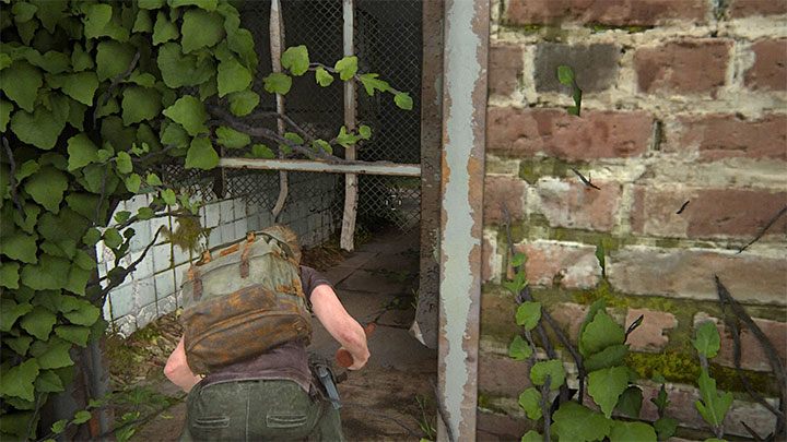 Wejście do jednego z budynków z etapu Lekcja tropienia ma uszkodzoną częściowo kratę - The Last of Us 2: Lekcja tropienia / Tracking Lesson sekrety, znajdźki - The Last of Us 2 - poradnik do gry