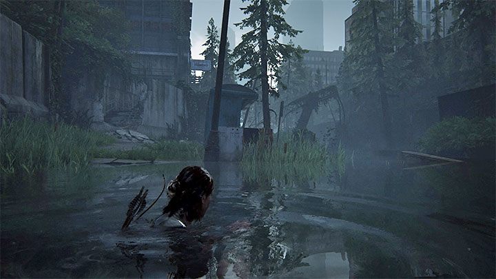 Tak, Ellie oraz Abby potrafią pływać i jest to wymagane do dotarcia do niektórych lokacji w świecie gry - The Last of Us 2 - poradnik do gry