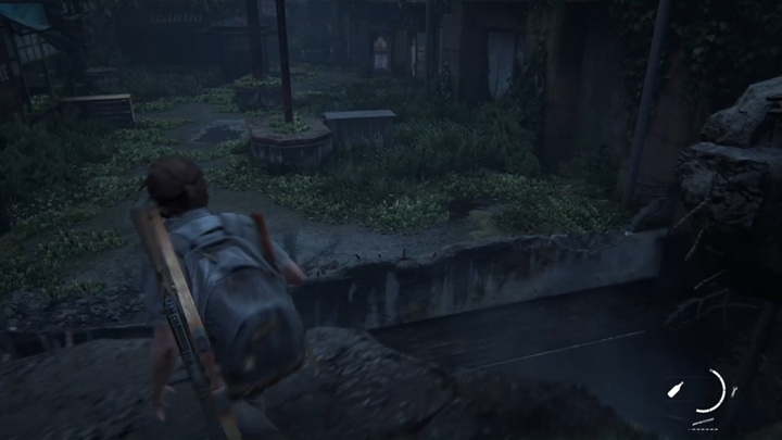 Idź cały czas do przodu, walcząc przy okazji z napotkanym oporem - The Last of Us 2: W poszukiwaniu Nory - solucja, opis przejścia - The Last of Us 2 - poradnik do gry