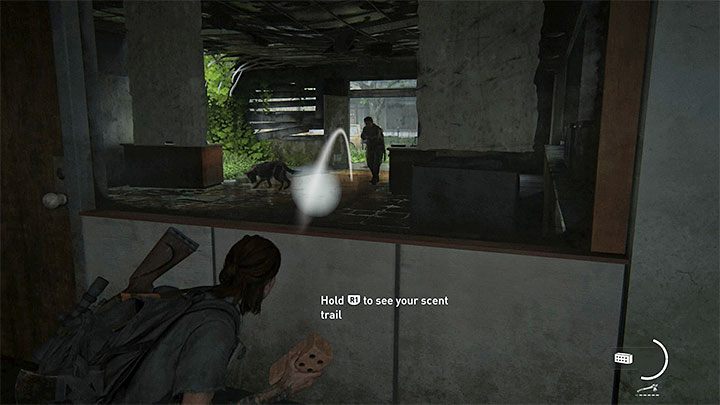Począwszy od drugiego dnia pobytu w Seattle zaczniesz spotykać towarzyszące niektórym przeciwnikom psy obronne, które będą wrogo nastawione do Ellie - The Last of Us 2: Porady na start - The Last of Us 2 - poradnik do gry