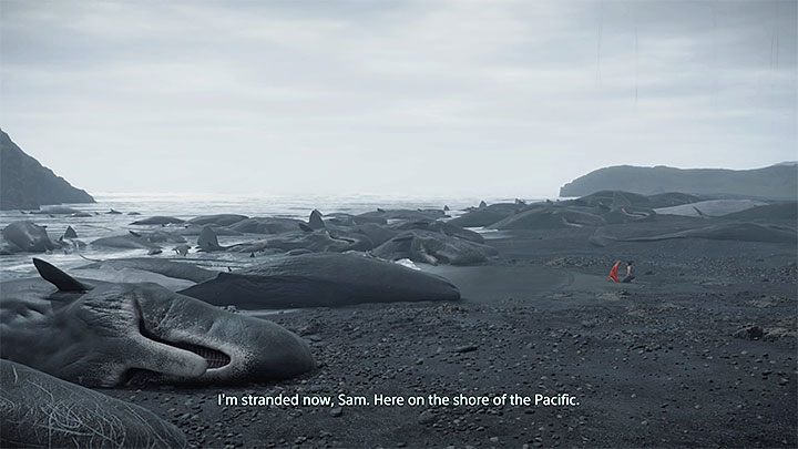 Plaże (Beaches) to unikalne lokacje w świecie gry, do których dusze zmarłych trafiają po śmierci - O co chodzi w fabule Death Stranding? - Death Stranding - poradnik do gry