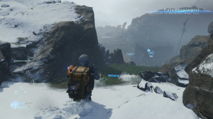 Twoim zadaniem jest dowiezienie bomby do Paleontologa - Death Stranding: Rozdział 8 - Heartman | Opis przejścia, solucja - Death Stranding - poradnik do gry