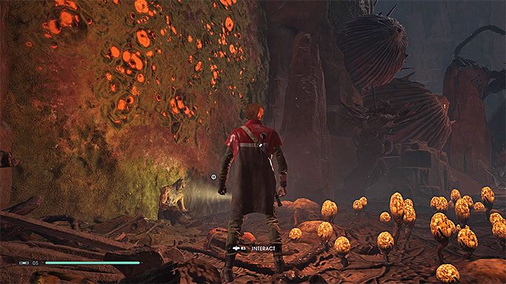 Po drodze miniesz interaktywną konstrukcję pozwalającą na opuszczenie liny i odblokowanie skrótu - Rozdział 5 Dathomir - solucja Jedi Upadły zakon / Fallen Order - Star Wars Jedi Fallen Order - poradnik do gry