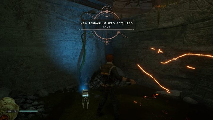 Część mapy: Subterranean Regufe - Nasiona w Jedi Upadły zakon / Fallen Order - Star Wars Jedi Fallen Order - poradnik do gry