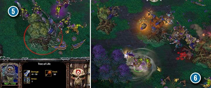 Drzewa Życia to źródło dużej ilości drewna (5), ale tylko w tej misji - Duchy Ashenvale | Solucja Warcraft 3 Reforged - Warcraft 3 Reforged - poradnik do gry