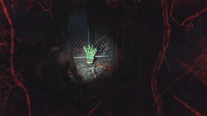 2 - Resident Evil 3: Pasożyt - jak się go pozbyć? - Resident Evil 3 - poradnik do gry