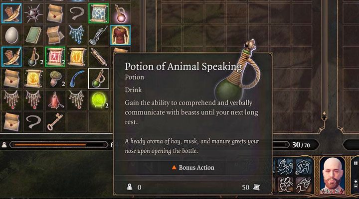 Komunikowanie się ze zwierzętami jest możliwe na kilka różnych sposobów - Baldurs Gate 3: Jak rozmawiać ze zwierzętami? - Baldurs Gate 3 - poradnik do gry