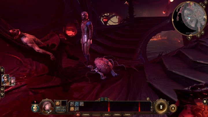 6 - Baldurs Gate 3: Zagadka Myrnatha i gadającego mózgu na Nautiloidzie - Baldurs Gate 3 - poradnik do gry