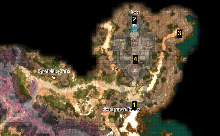Przerośnięte Ruiny znajdują się na północ od plaży i na wschód od ruin statku Nautiloid - Baldurs Gate 3: Zagadka Przerośniętych Ruin i dotarcia do krypty - Baldurs Gate 3 - poradnik do gry